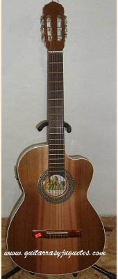 Guitarra Electroacústica de paloescrito con tapa de pinabete imagen 1